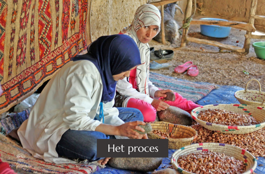 Berberse vrouwen maken arganolie