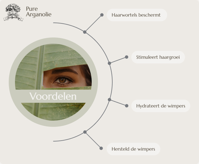 Voordelen van arganolie op wimpers