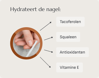 Nagels hydrateren met arganolie