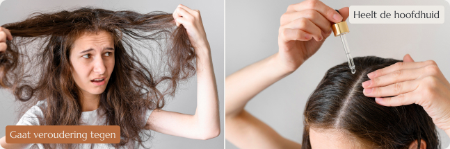 Arganolie gaat veroudering tegen