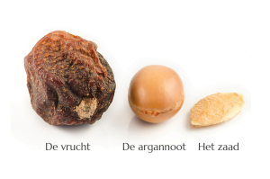Pure Arganolie - Van vrucht, naar noot, naar zaad