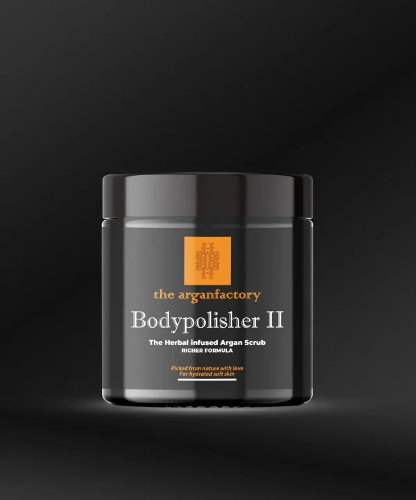 Bodypolisher 2